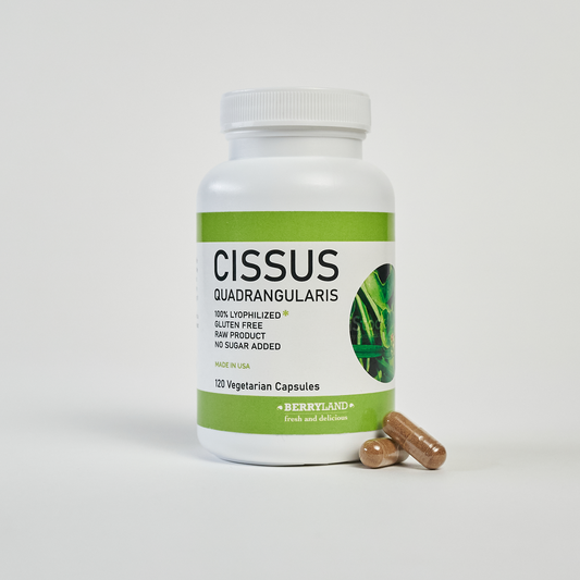 Cissus - Capsule